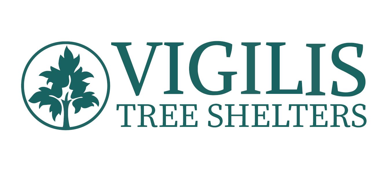 Vigilis